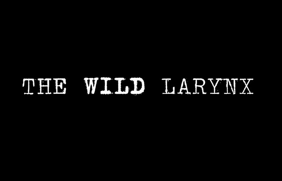 The Wild Larynx - Developmental Narrative Artistry, Ghostwriting, Co-Writing, and Developmental Editing - A Creative Brain Trust For Authors Powered by Human Intelligence